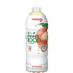 Pokka Peach 1000 Juice 500ml