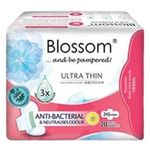 Blossom Day Use Ultra Thin Wing 24cm 20pcs