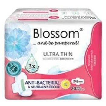 Blossom Day Use Ultra Thin Wing 24cm 20pcs