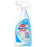 Magiclean Glass Cleaner Foam 500ml