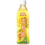 Hung Fook Tong Salty Citrus Fruit Drink 500ml