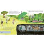 Frances Lincoln Children The Story of Conservation