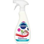 Ecozone Bleach Mould Remover Spray 500ml
