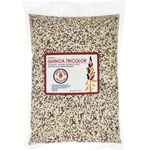 GardenScent Organic Quinoa Tricolor Seeds 1kg