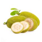 Palakai Jackfruit Raw