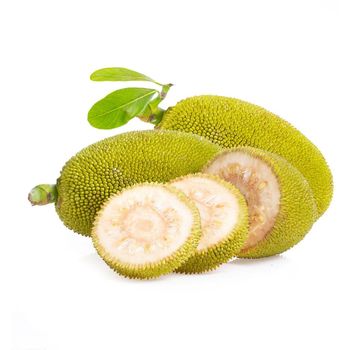 Palakai Jackfruit Raw