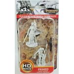 Wizkids Dungeons And Dragons Pathfinder Deep Cuts Female Human Oracle