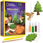 National Geographic Ornament Air Dry Clay Kit