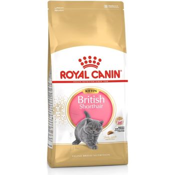 Royal Canin British Shorthair Kitten 2kg
