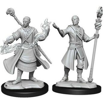 Wizkids Half-Elf Male Wizard