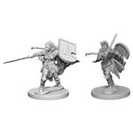 Wizkids Human Paladin Female (Wave 1)