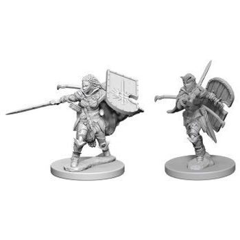 Wizkids Human Paladin Female (Wave 1)