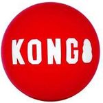 Kong Signature Balls For Large Dogs 2 Pack