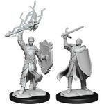 Wizkids Half-elf Paladin