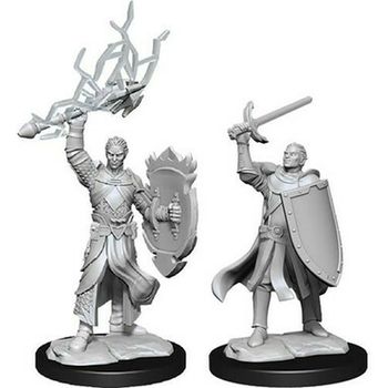 Wizkids Half-elf Paladin