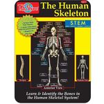 Bendon Publishing Magnetic Tin Playset Human Skeleton