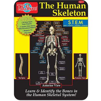 Bendon Publishing Magnetic Tin Playset Human Skeleton