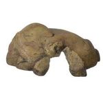 Exo Terra Reptile Cave X-Large