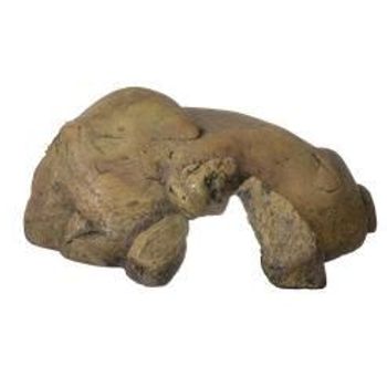 Exo Terra Reptile Cave X-Large