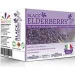 Dynamic Nutrition Black Elderberry 20 Sachet
