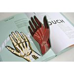 Thames & Hudson Anatomy A Cutaway Look Inside The Human Body