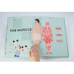 Thames & Hudson Anatomy A Cutaway Look Inside The Human Body