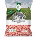 24 Mantra Organic Raw Peanut 500g