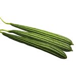 Angled Gourd Luffa  