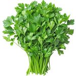 Coriander           