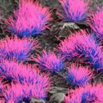 Gamers Grass Alien Neon 4mm