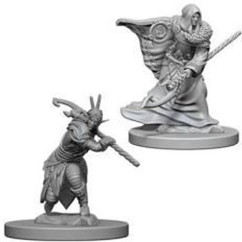 Wizkids Dungeons & Dragons Nolzur’s Marvelous Miniatures: Elf Druid Male