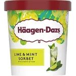 Haagen-Dazs Lime and Mint Sorbet Ice Cream 392ml