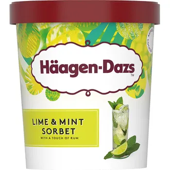 Haagen-Dazs Lime and Mint Sorbet Ice Cream 392ml