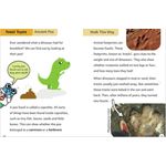 Maverick Early Readers Maverick Early Reader Purple (Level 8): Fossils Rock!