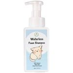 DD 101 Waterless Foam Shampoo 450ml