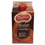 F&N Magnolia Chocolate Fresh Milk 475ml