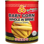 AAA Baby Corn In Brinewhole