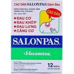 Salonpas Pain Relief Patch 12pcs