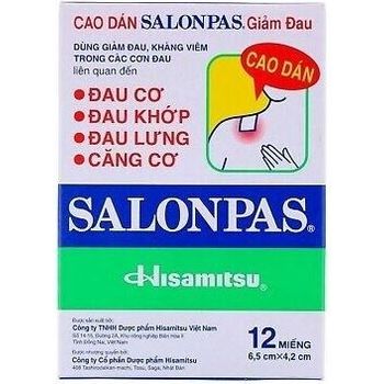 Salonpas Pain Relief Patch 12pcs