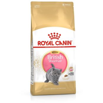 Royal Canin British Shorthair Kitten 2kg