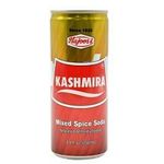 Hajoori Kashmiri Soda 250ml