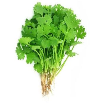 Coriander Leaves Approx 100gm