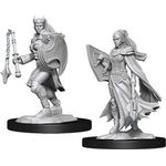 Wizkids Female Kalashtar Cleric