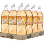 F&N Ginger Ade 12 x 1.5L