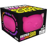 NeeDoh® Super NeeDoh Cool Cats