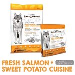 Back 2 Nature Grain Free Fresh Salmon + Sweet Potato Cuisine