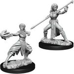 Nolzur's Marvelous Miniatures WizKids D&D Female Half-elf Monk Wzk73839
