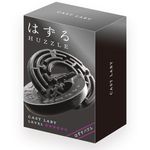 Hanayama Cast Laby Level 5