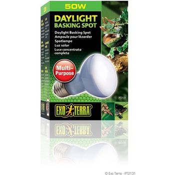 Exo Terra Daylight Basking Spot Lamp R20 50w