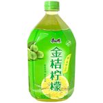 Master Kong kumquat lemon 1l